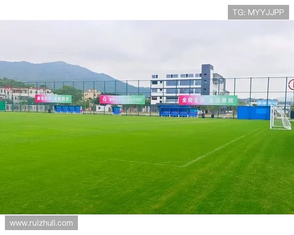 绿茵场的全民欢歌：草根足球的盛会与文化诗行